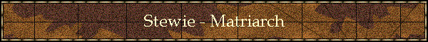 Stewie - Matriarch